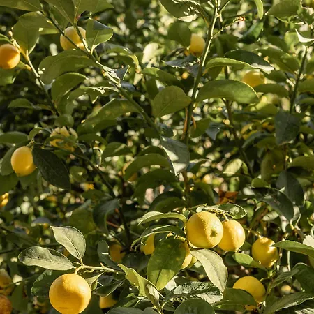 Сasa de vacaciones Maison De Yaya At Heraion Lagoon *