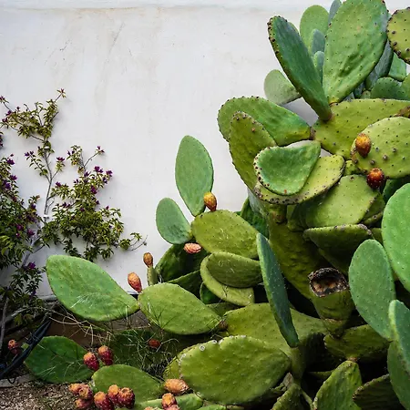 Maison De Yaya At Heraion Lagoon Сasa de vacaciones *