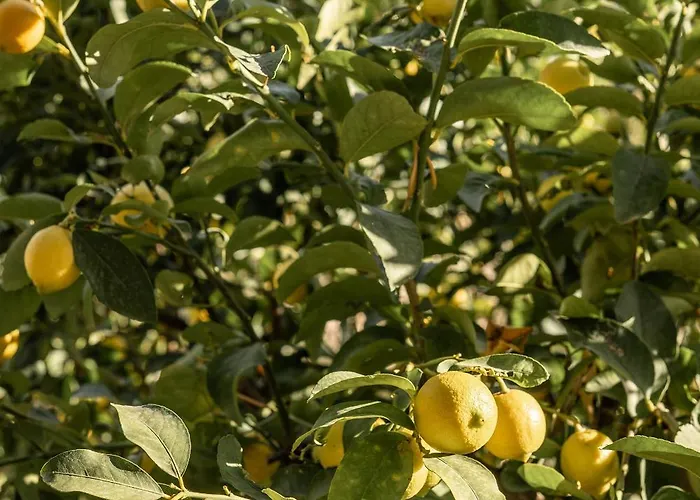 度假居 Maison De Yaya At Heraion Lagoon *