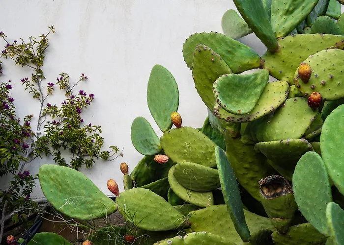 Maison De Yaya At Heraion Lagoon 度假居 *